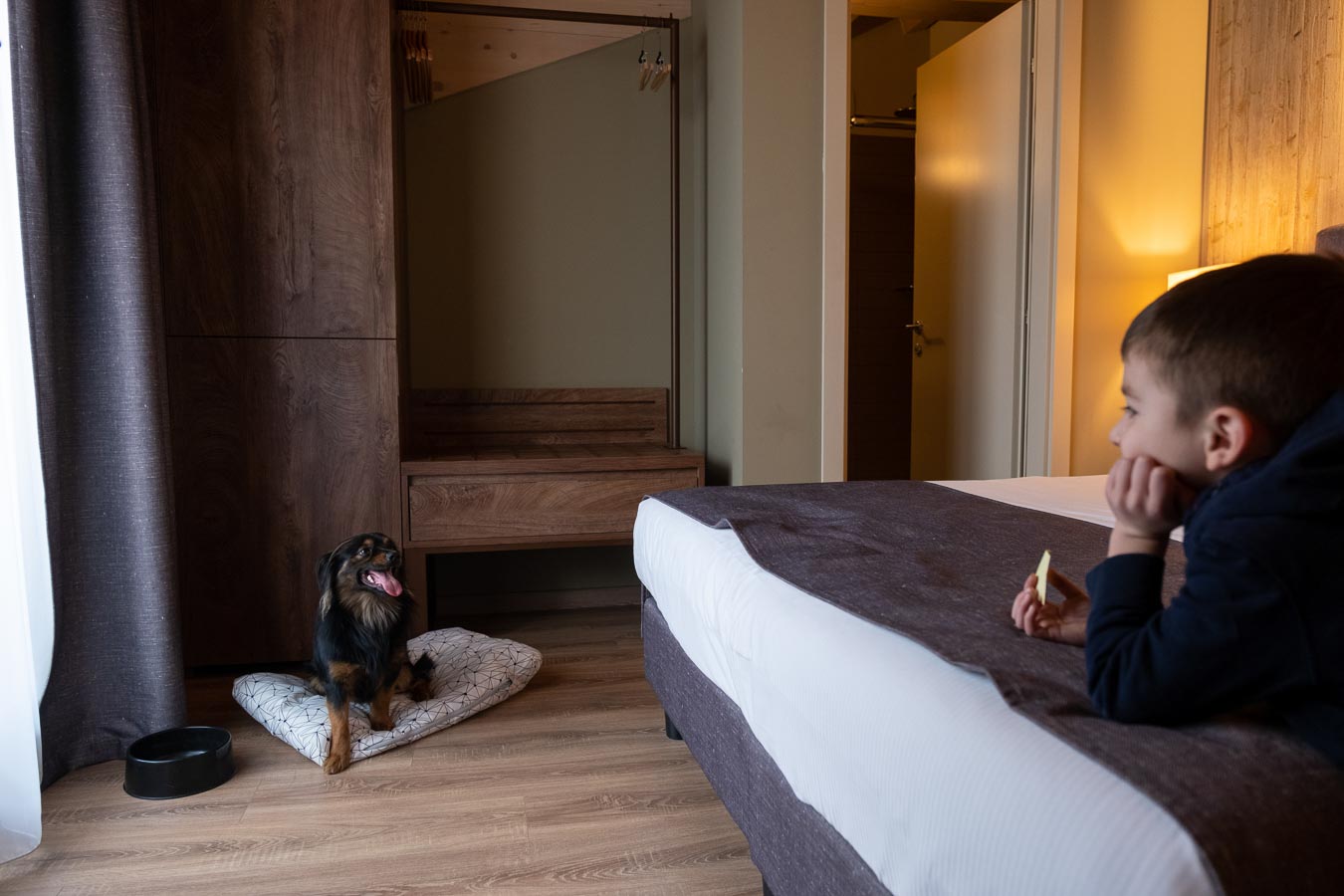 A child lies on a bed watching a dog sitting on a cushion in a room.