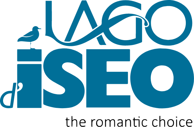 Logo blu con scritta "Lago d'Iseo" e gabbiano stilizzato sopra.