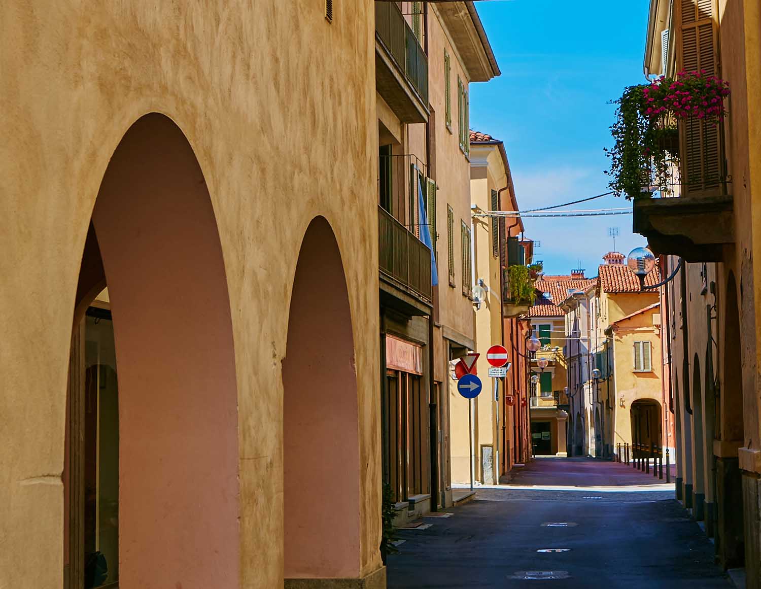 Arte, cultura e musei